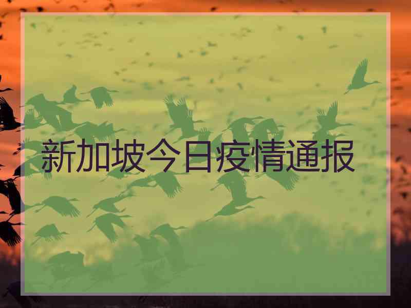 新加坡今日疫情通报