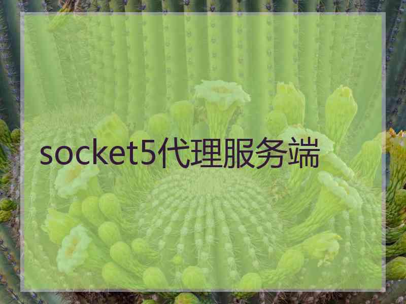 socket5代理服务端