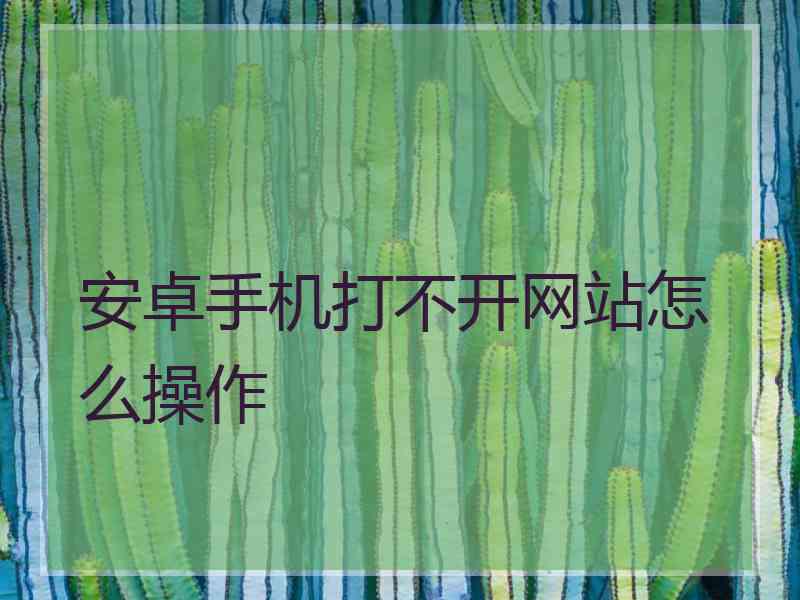 安卓手机打不开网站怎么操作