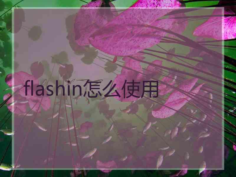 flashin怎么使用