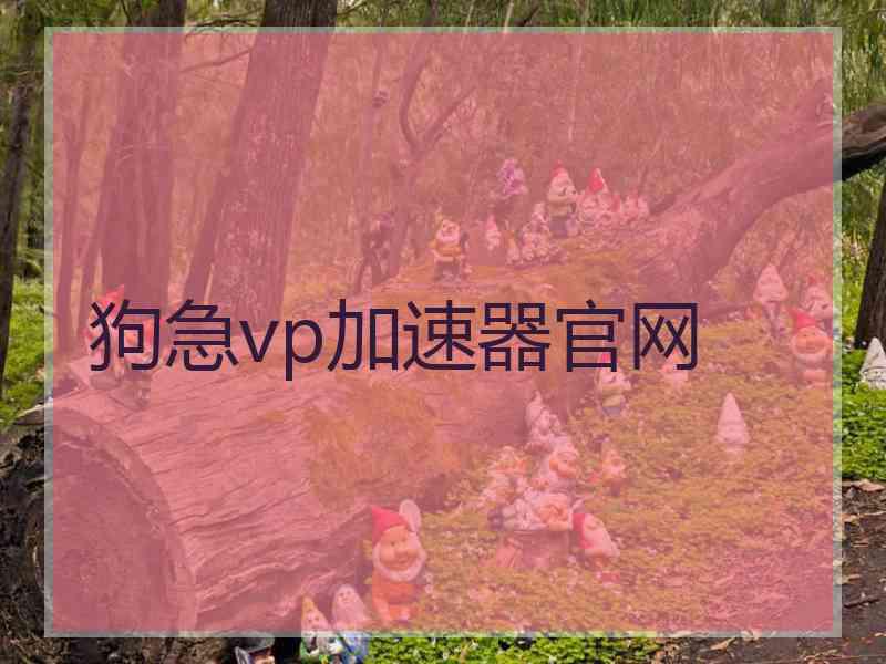 狗急vp加速器官网