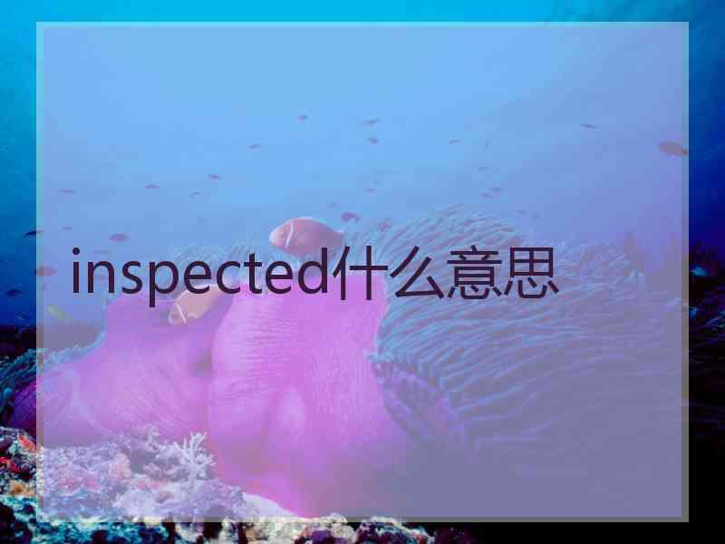 inspected什么意思