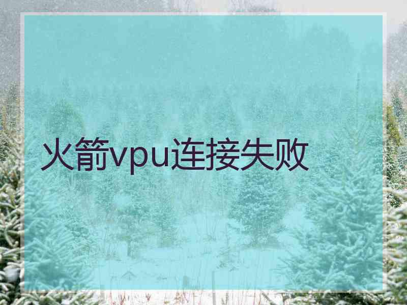 火箭vpu连接失败