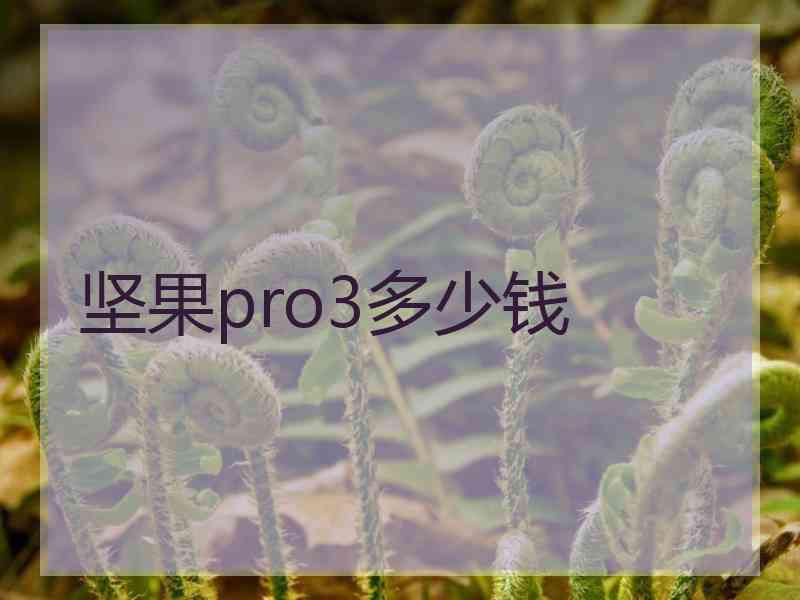 坚果pro3多少钱