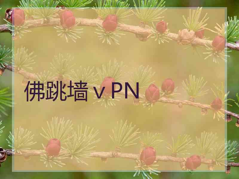 佛跳墙ⅴPN