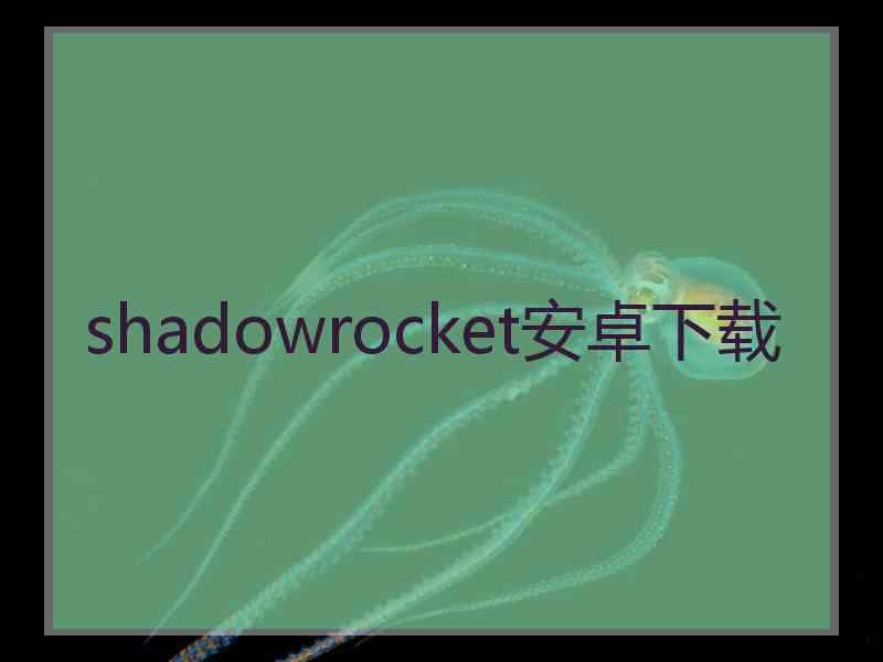 shadowrocket安卓下载