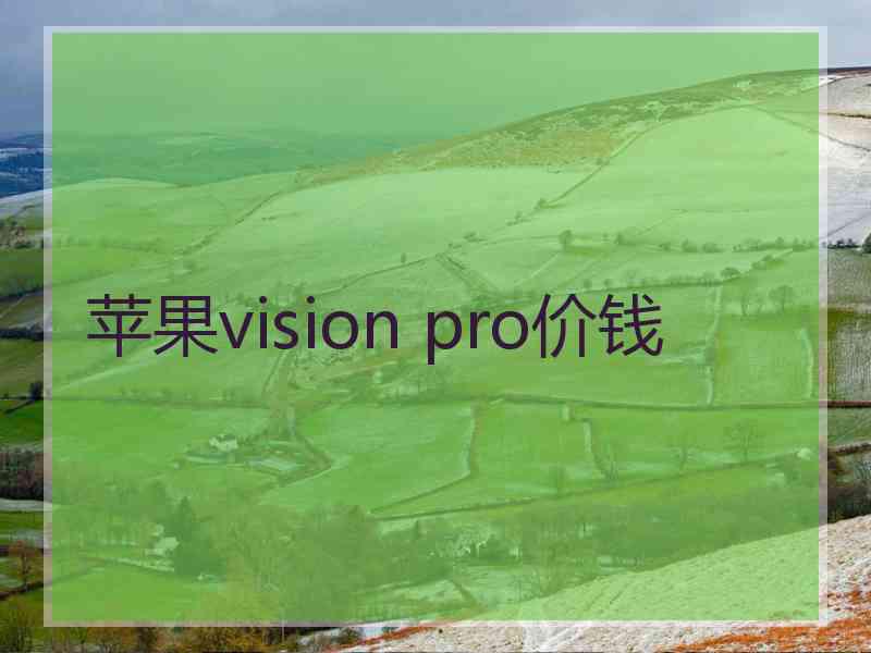 苹果vision pro价钱