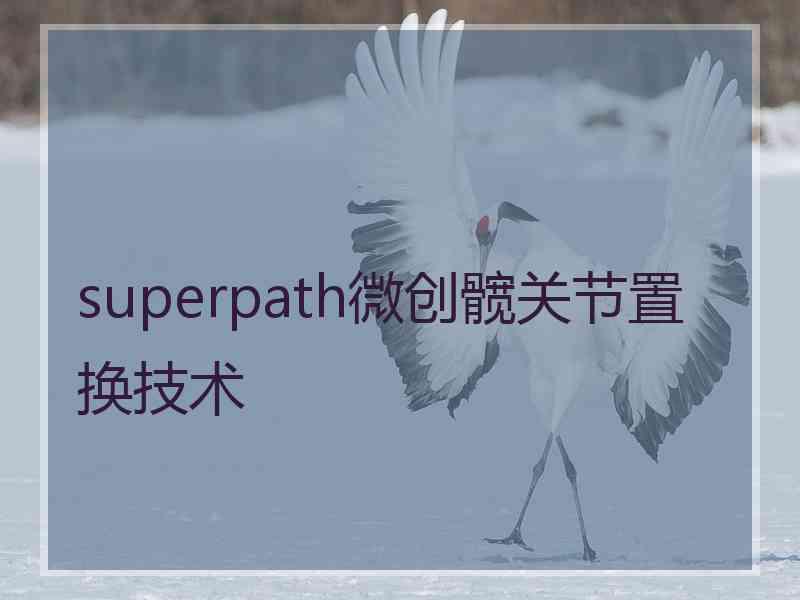 superpath微创髋关节置换技术