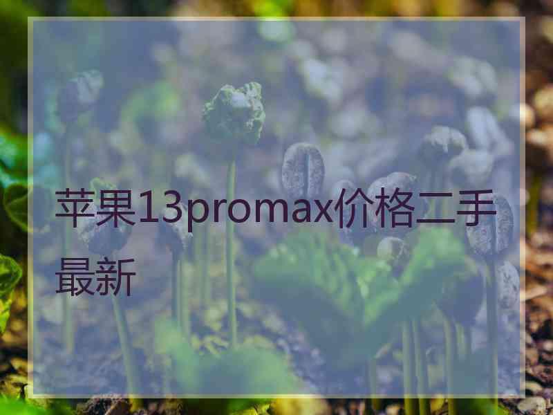 苹果13promax价格二手最新