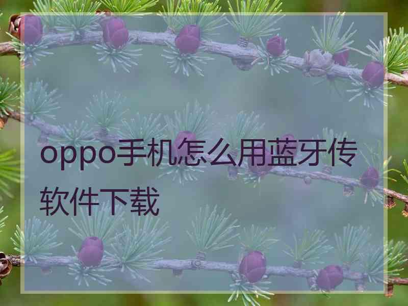 oppo手机怎么用蓝牙传软件下载