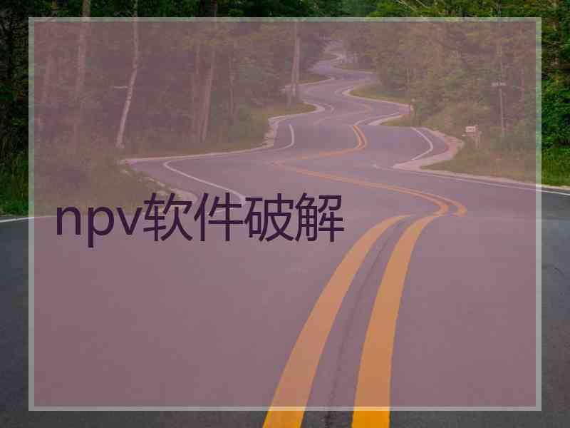 npv软件破解