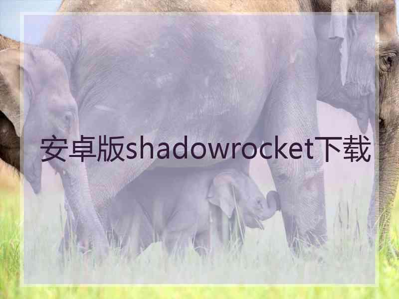 安卓版shadowrocket下载