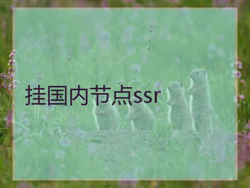 挂国内节点ssr