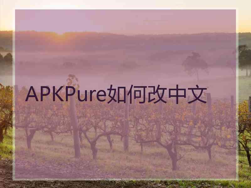 APKPure如何改中文