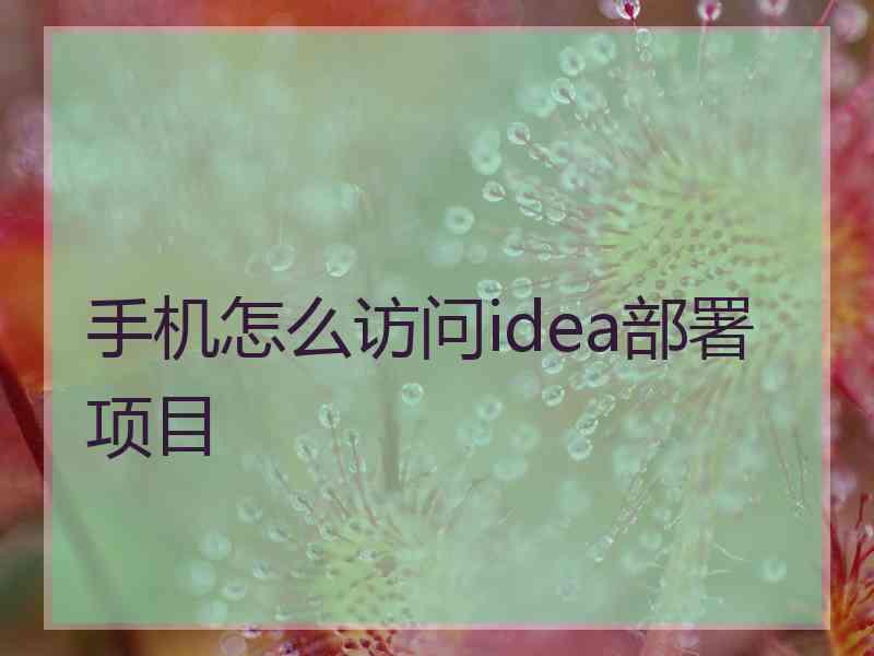 手机怎么访问idea部署项目