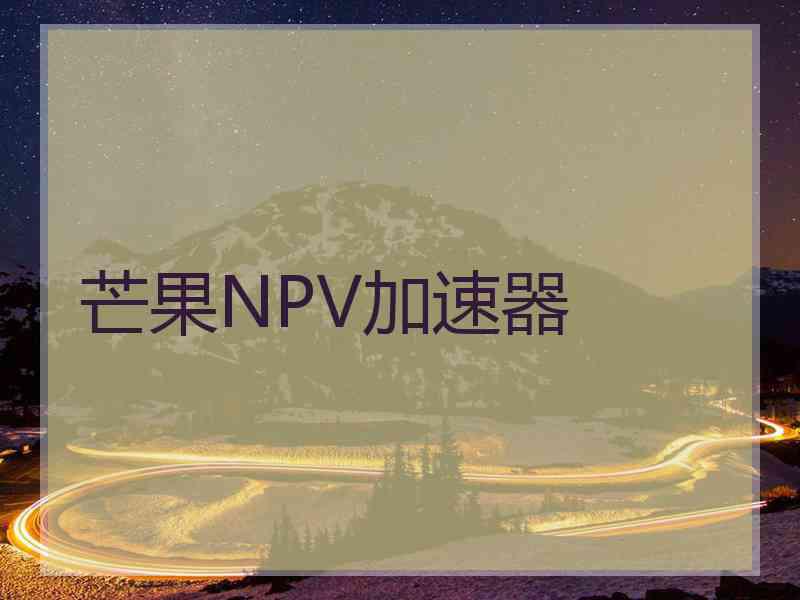 芒果NPV加速器