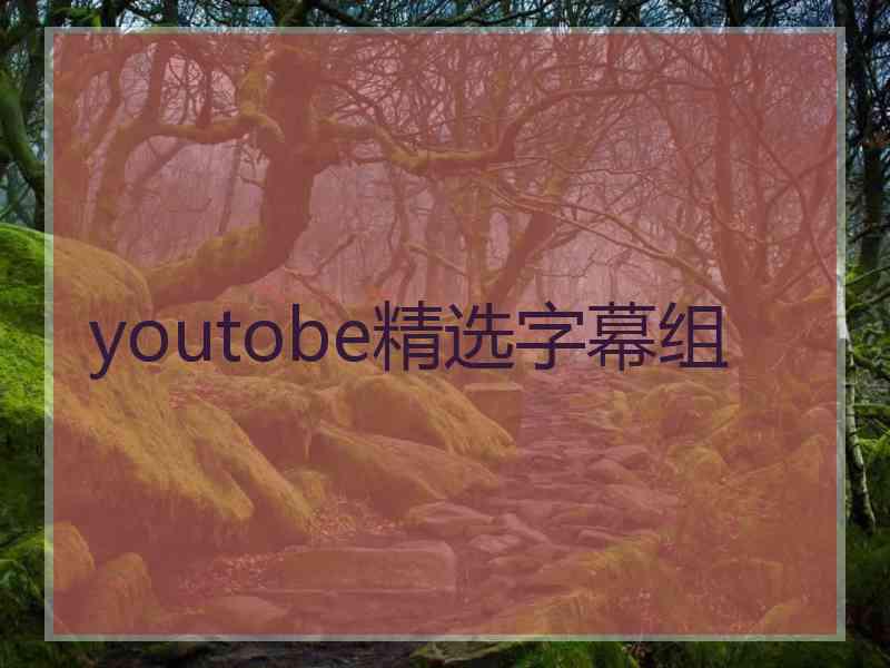 youtobe精选字幕组