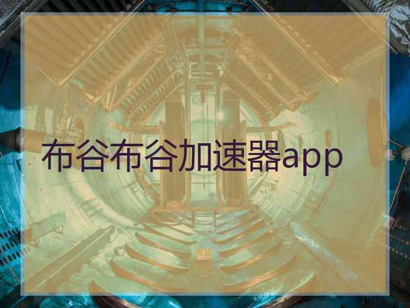 布谷布谷加速器app