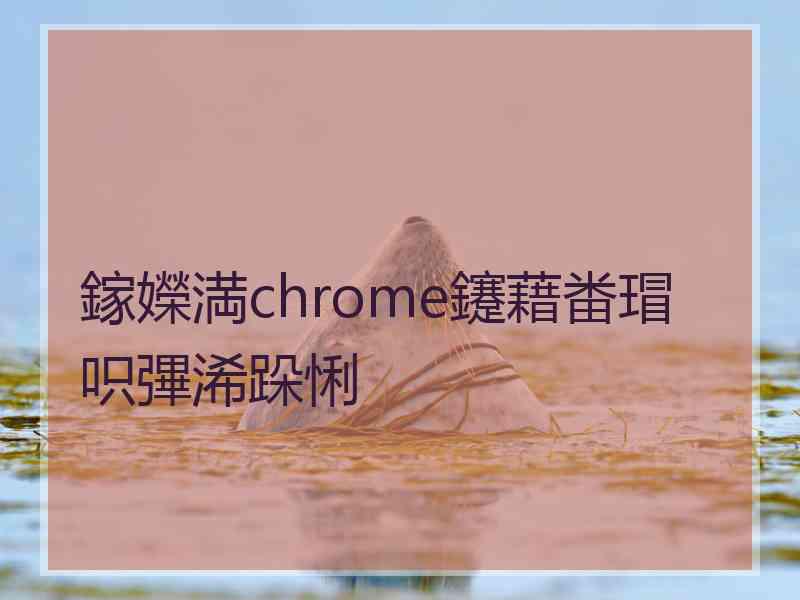 鎵嬫満chrome鑳藉畨瑁呮彃浠跺悧