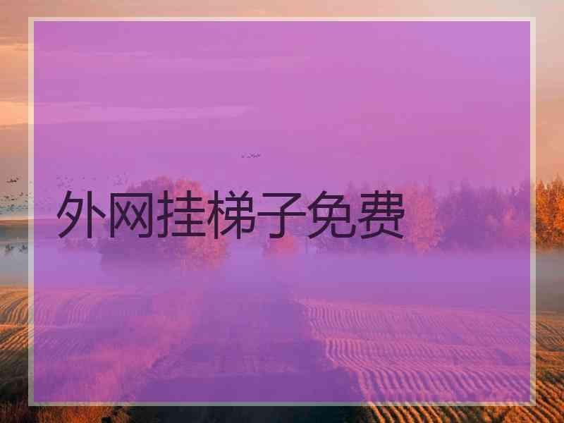 外网挂梯子免费