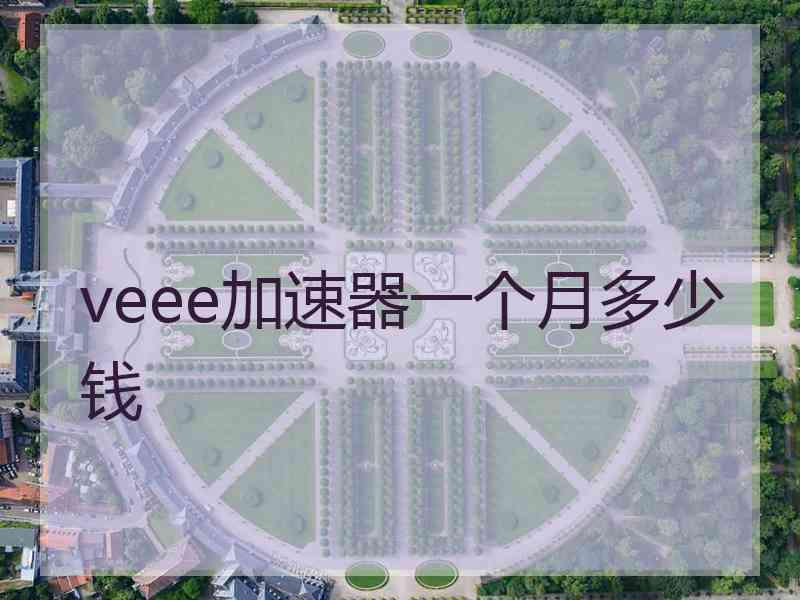 veee加速器一个月多少钱