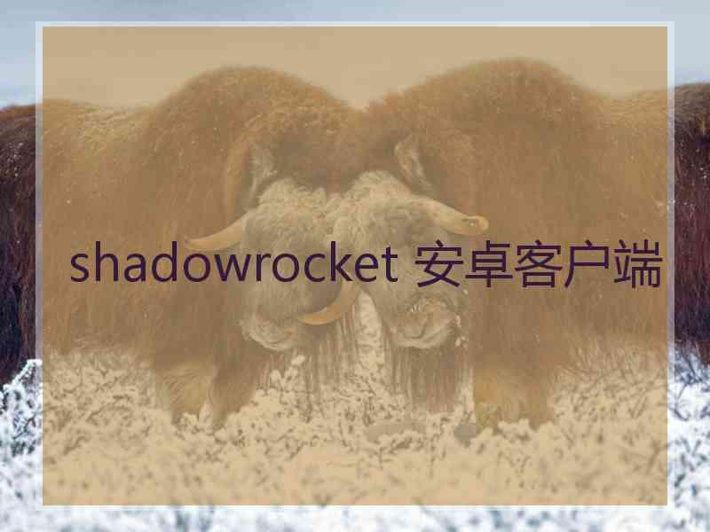 shadowrocket 安卓客户端