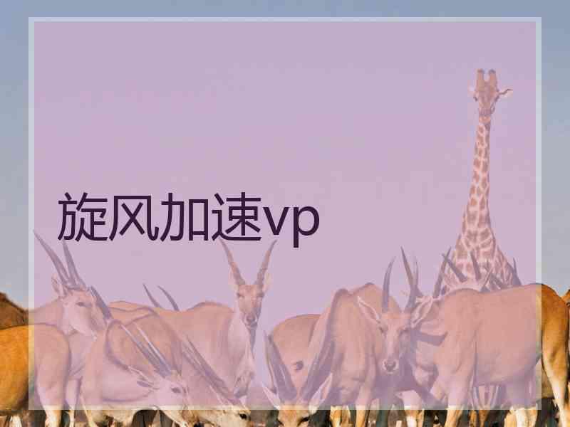 旋风加速vp