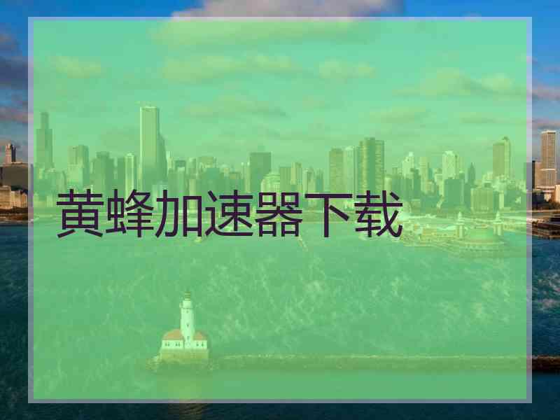 黄蜂加速器下载