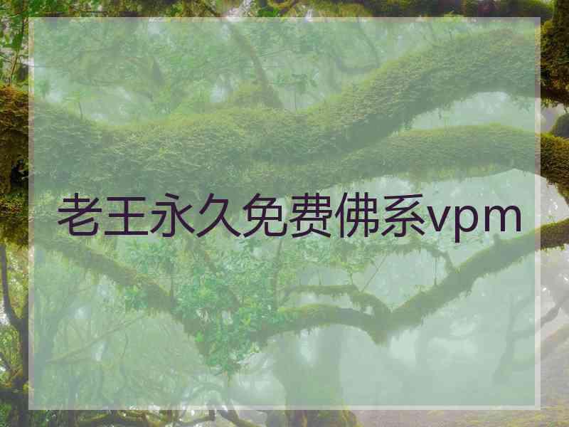 老王永久免费佛系vpm