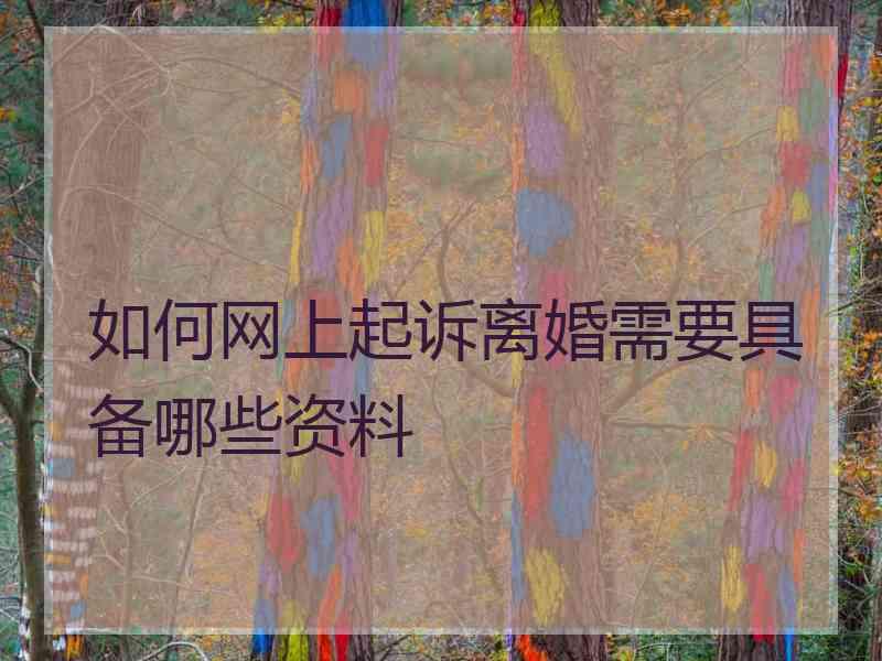 如何网上起诉离婚需要具备哪些资料