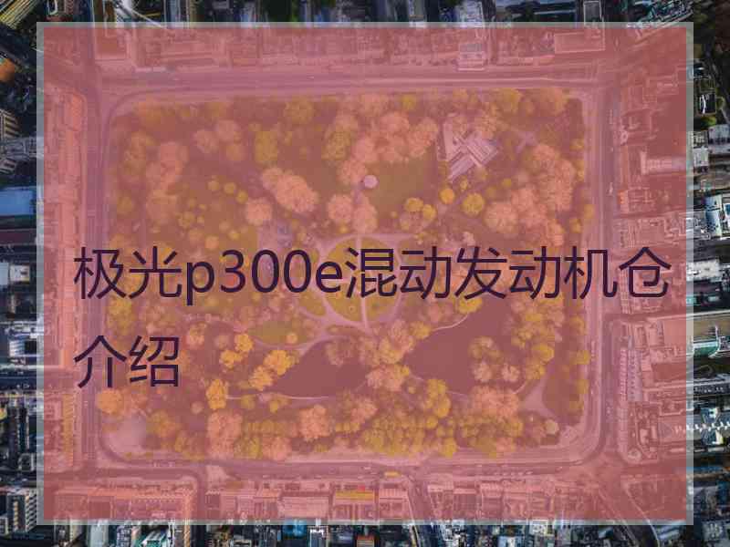 极光p300e混动发动机仓介绍