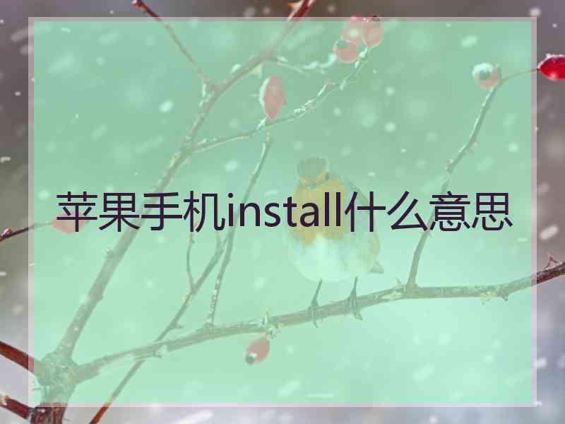 苹果手机install什么意思