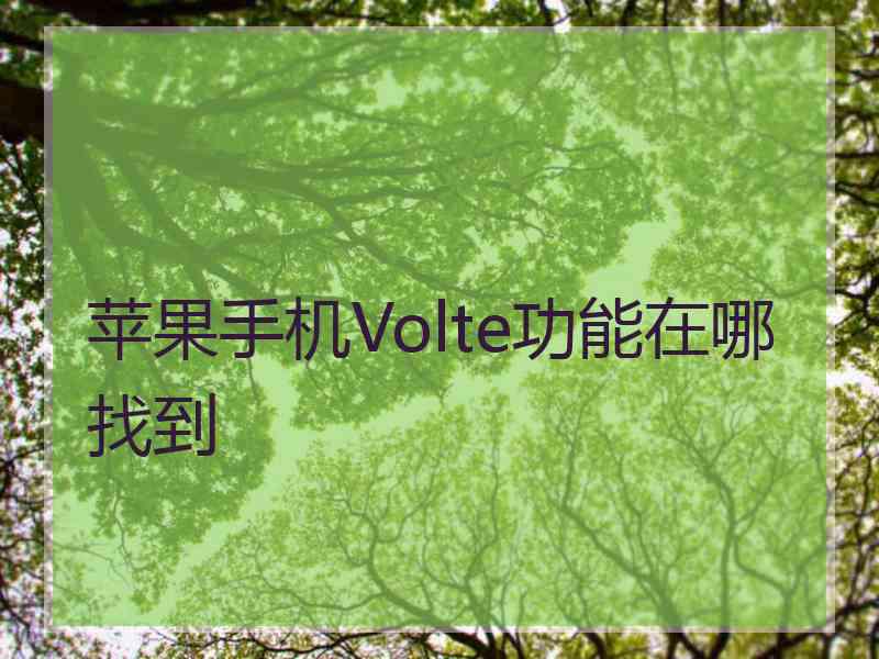 苹果手机Volte功能在哪找到