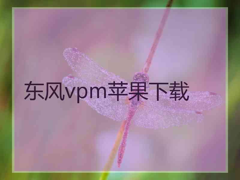 东风vpm苹果下载