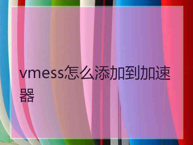 vmess怎么添加到加速器