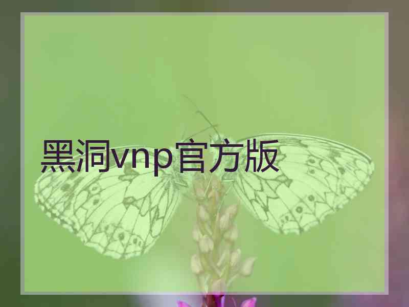 黑洞vnp官方版