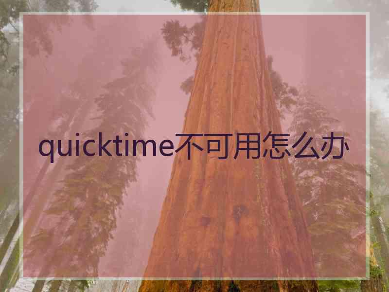 quicktime不可用怎么办