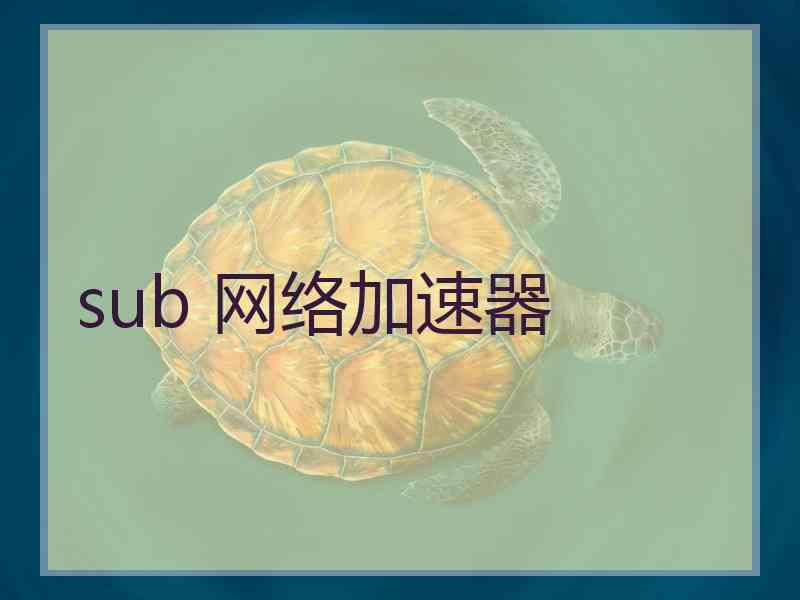 sub 网络加速器