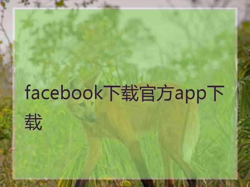 facebook下载官方app下载