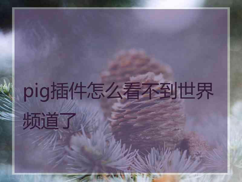 pig插件怎么看不到世界频道了